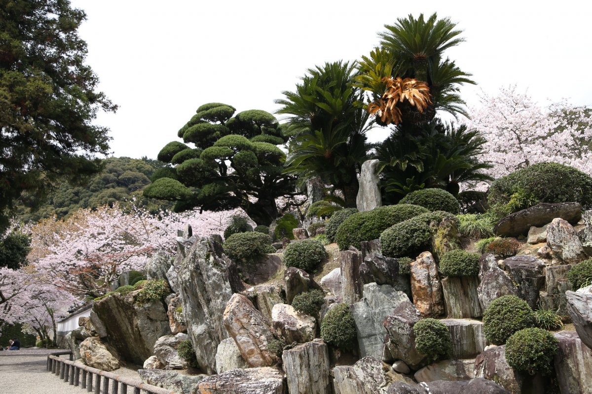 🏯 고카와데라 (粉河寺) 이미지 6